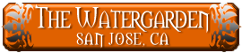 The Watergarden - San Jose, CA